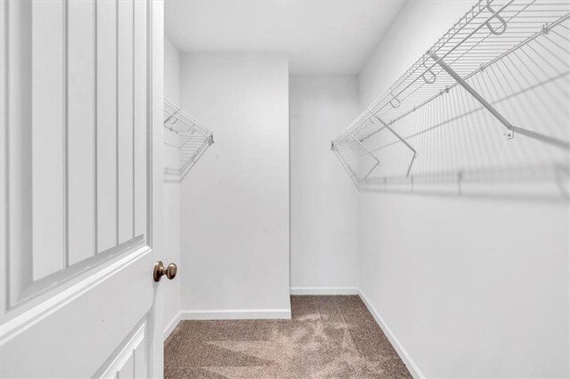 bathroom with plus walk in shower and wood-type flooring