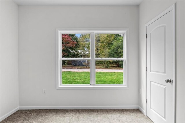 unfurnished room featuring carpet floors