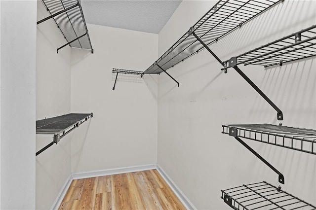 6165 Picketts Rdg NW, Acworth, GA 30101 - walk in closet with light wood-style flooring