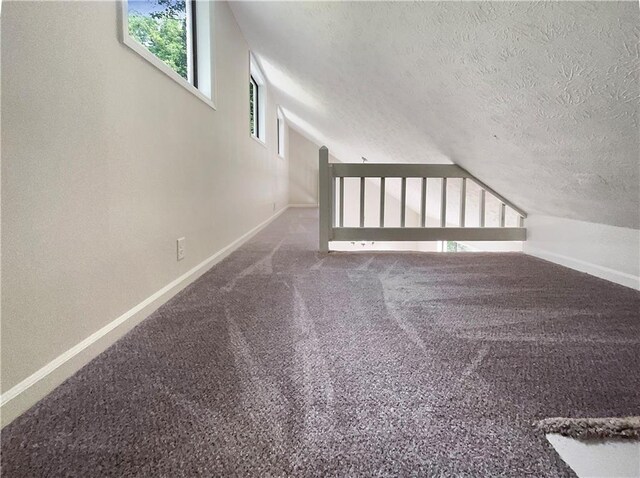 2140 Fern Valley Dr SW, Atlanta, GA 30331 - additional living space with vaulted ceiling and a textured ceiling