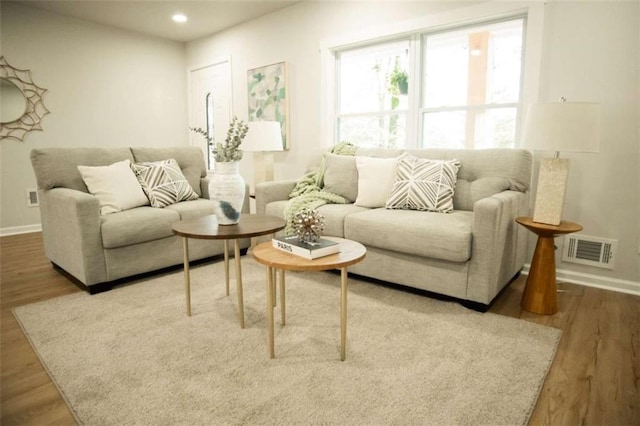 living room featuring wood-type flooring