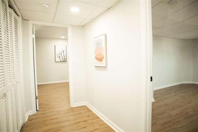 corridor featuring light hardwood / wood-style floors and a drop ceiling