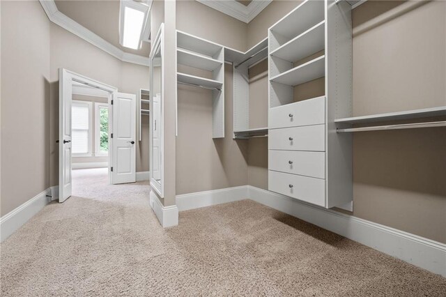 771 Tate Overlook, Marietta, GA 30064 - spacious closet with carpet