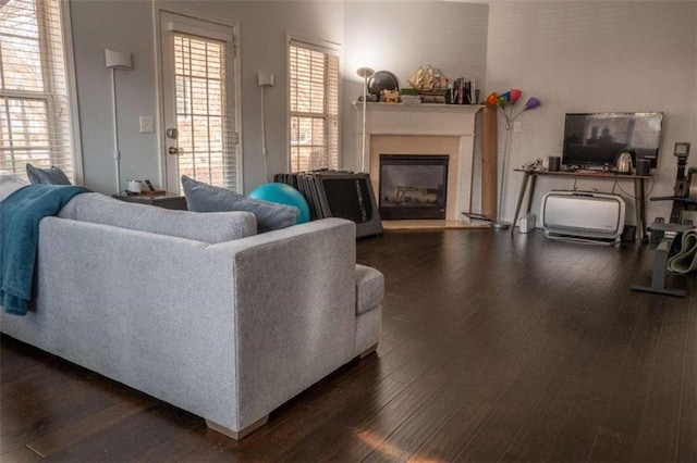 401 Iona Abbey Ct Unit 6, Smyrna, GA 30082 - living area featuring wood finished floors and a glass covered fireplace