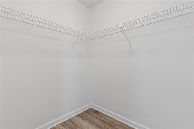 spacious closet with wood finished floors