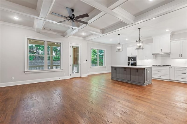 kitchen featuring white cabinetry, decorative light fixtures, an island with sink, hardwood / wood-style floors, and ceiling fan with notable chandelier