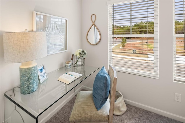 224 Epping St Unit 7, Stockbridge, GA 30281 - office area with carpet flooring and baseboards