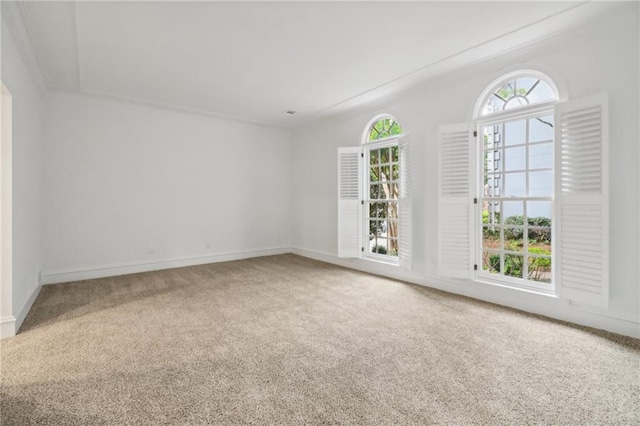 carpeted empty room with a wealth of natural light