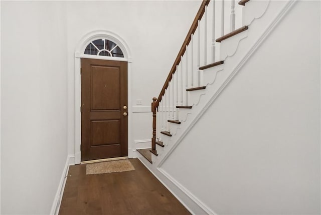 entryway with a towering ceiling and dark wood-type flooring