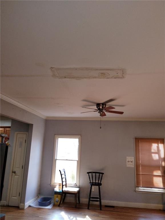 interior space featuring ceiling fan, ornamental molding, and wood-type flooring