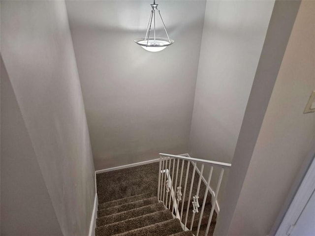 staircase featuring carpet flooring