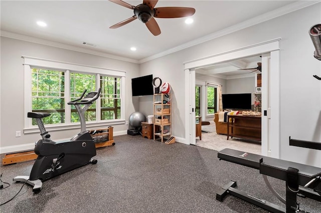 workout room with ceiling fan and crown molding