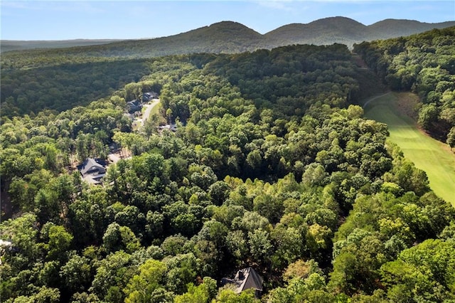 birds eye view of property featuring a mountain view