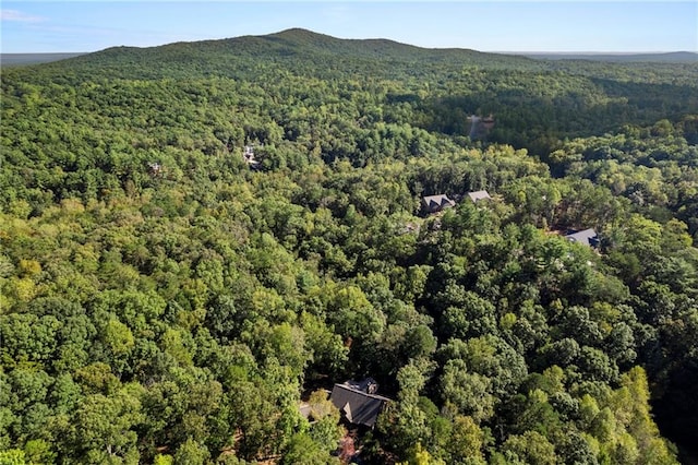 drone / aerial view featuring a mountain view