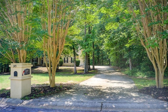 245 Ashley Forest Dr, Fayetteville, GA 30214 - view of community featuring a yard and concrete driveway
