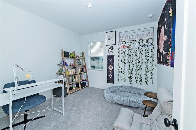 1433 Halpern Ln, Kennesaw, GA 30144 - home office featuring carpet floors