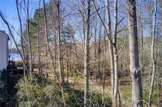 93 Portico Pl, Newnan, GA 30265 - view of local wilderness