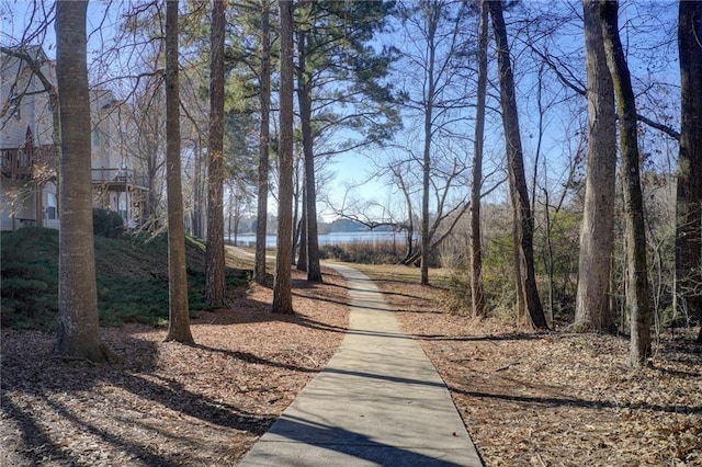 93 Portico Pl, Newnan, GA 30265 - surrounding community