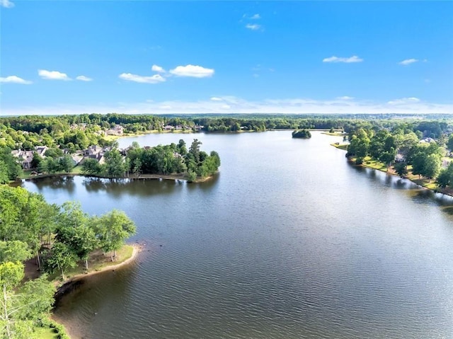 93 Portico Pl, Newnan, GA 30265 - water view