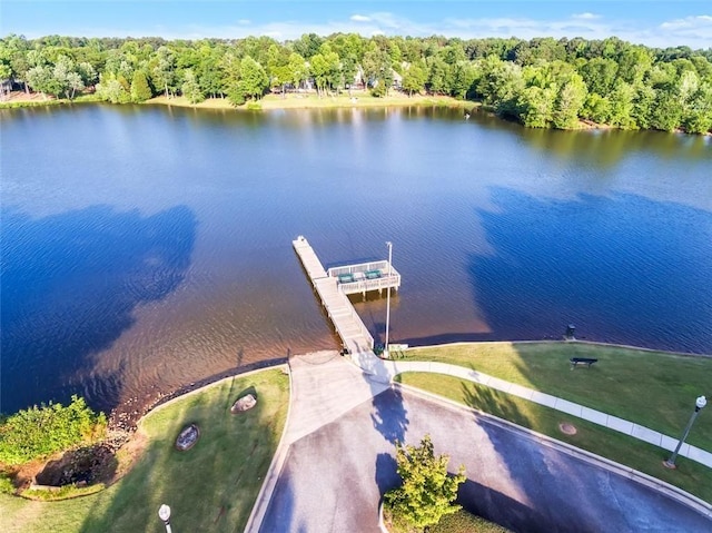 93 Portico Pl, Newnan, GA 30265 - drone / aerial view of a large body of water and a forest
