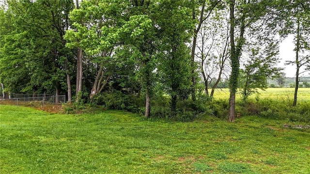 215 Maplewood Dr SW, Calhoun, GA 30701 - view of yard