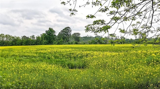 215 Maplewood Dr SW, Calhoun, GA 30701 - view of undeveloped land