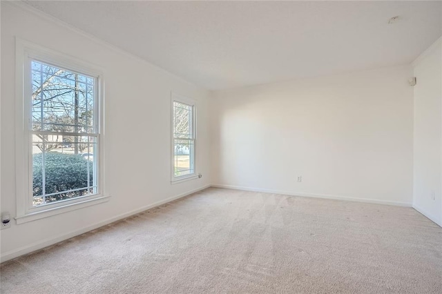 unfurnished room with crown molding and carpet flooring