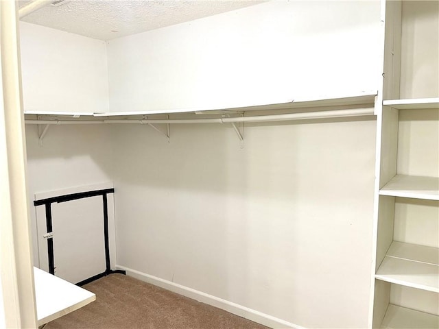 2124 Hickory Bnd SE, Conyers, GA 30013 - spacious closet with carpet flooring