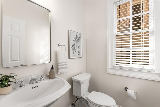 bathroom with a sink and toilet