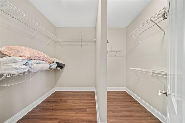 3232 Cates Ave NE, Brookhaven, GA 30319 - walk in closet with wood finished floors