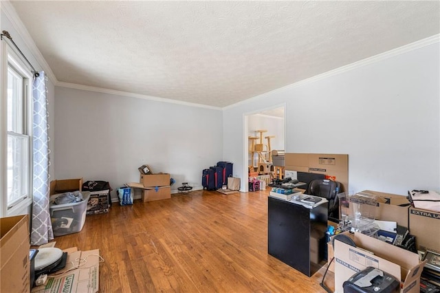 office space featuring a textured ceiling, wood finished floors, and crown molding
