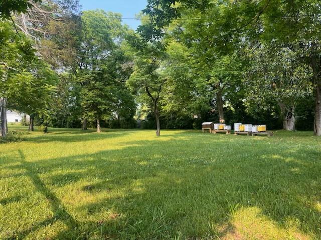 120 Valley St, Ball Ground, GA 30107