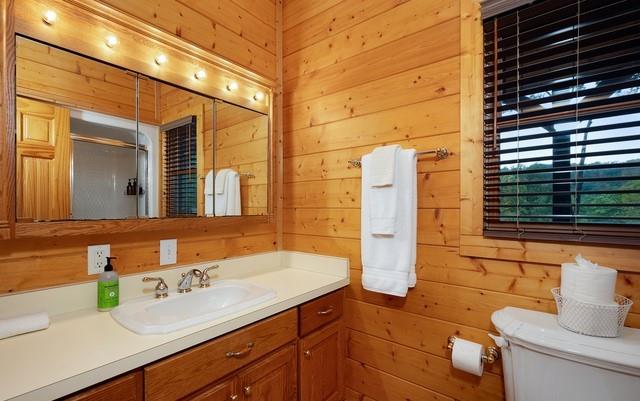 bathroom featuring wooden walls, toilet, vanity, and a shower with shower door