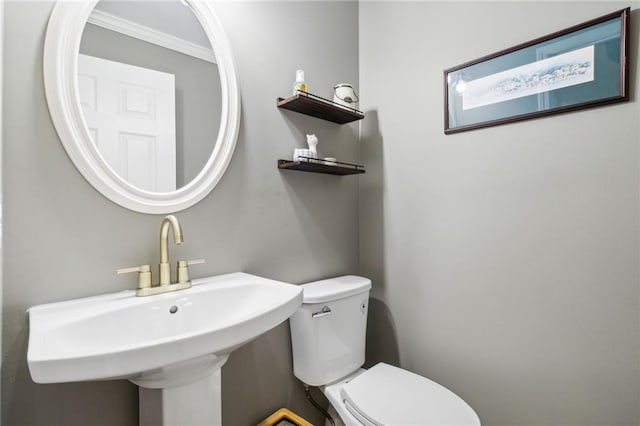 bathroom featuring toilet, sink, and ornamental molding