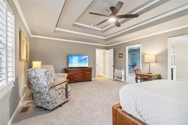 carpeted bedroom with ceiling fan, a tray ceiling, a walk in closet, and ornamental molding