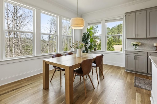 828 Chestnut Pl, Milton, GA 30004 - dining space featuring baseboards, light wood-style floors, and crown molding