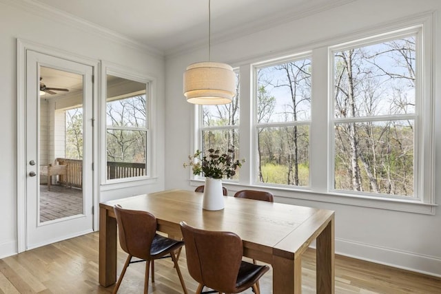828 Chestnut Pl, Milton, GA 30004 - dining area with wood finished floors, baseboards, and crown molding