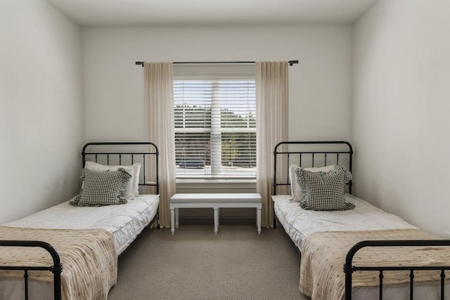 828 Chestnut Pl, Milton, GA 30004 - bedroom with carpet floors