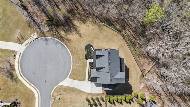 828 Chestnut Pl, Milton, GA 30004 - aerial overview of property's location