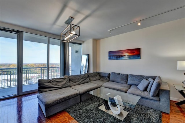 living room with a wall of windows, wood-type flooring, and track lighting