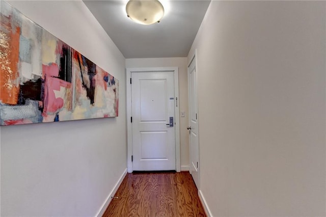 entryway featuring wood-type flooring