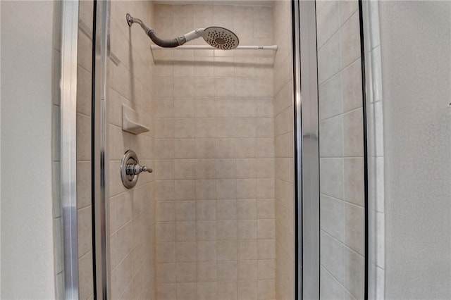 room details with a shower with door