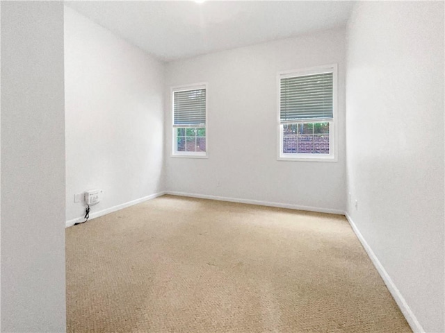 spare room featuring carpet and plenty of natural light