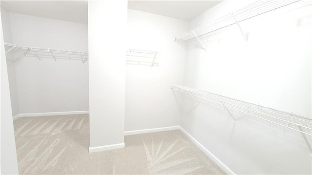 spacious closet featuring light carpet