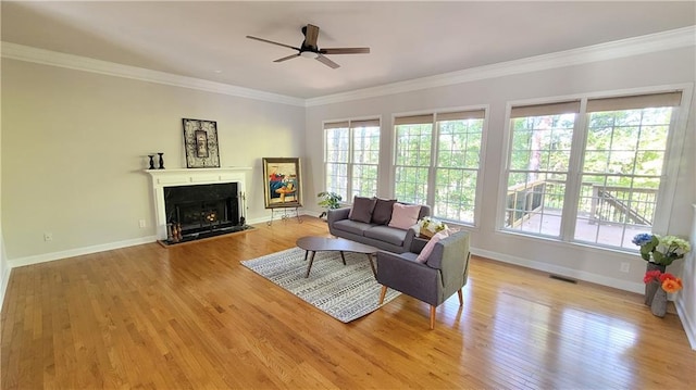 living room featuring crown molding, ceiling fan, and light hardwood / wood-style flooring