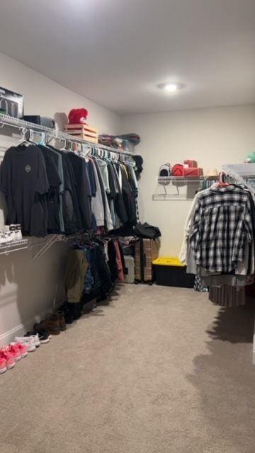 224 Crest Creek Way, Villa Rica, GA 30180 - walk in closet featuring carpet flooring