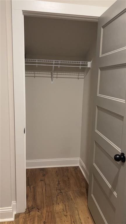 224 Crest Creek Way, Villa Rica, GA 30180 - view of closet