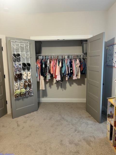 224 Crest Creek Way, Villa Rica, GA 30180 - view of closet