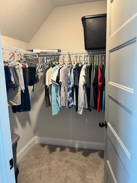 224 Crest Creek Way, Villa Rica, GA 30180 - walk in closet with carpet flooring and vaulted ceiling