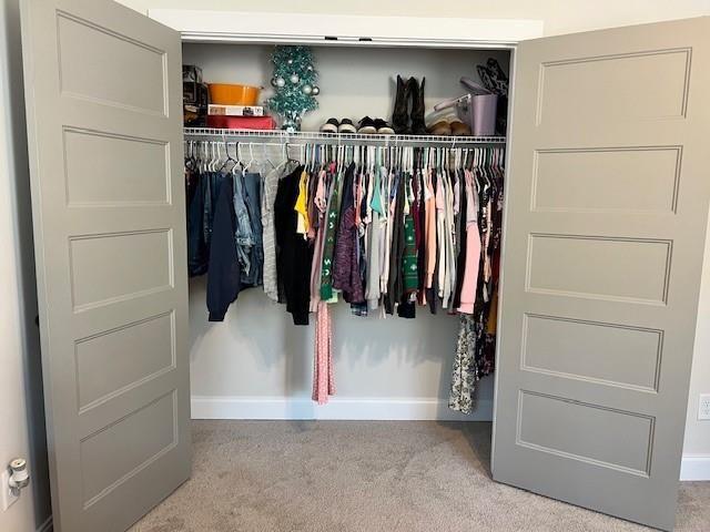 224 Crest Creek Way, Villa Rica, GA 30180 - view of closet